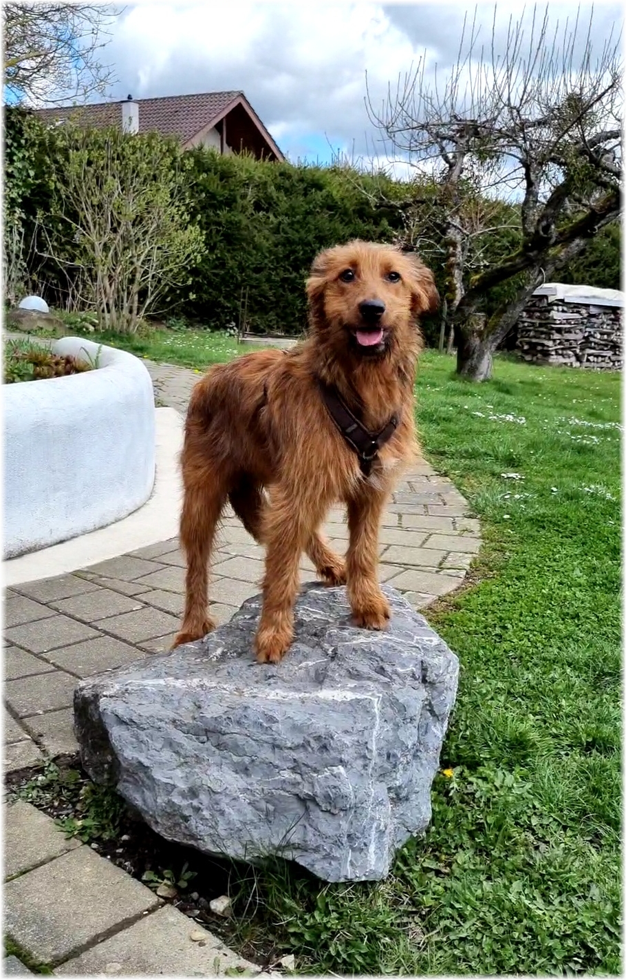 W&auml;ller von der Straubenhalde